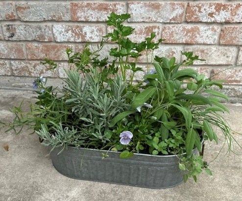 A metal trough planted with herbs and small flowers against a brick wall