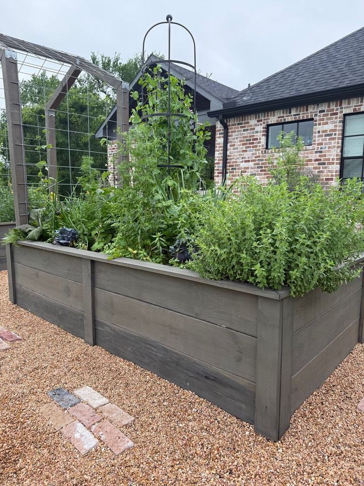 A raised kitchen garden filled with herbs, greens, and climbing plants supported by trellises